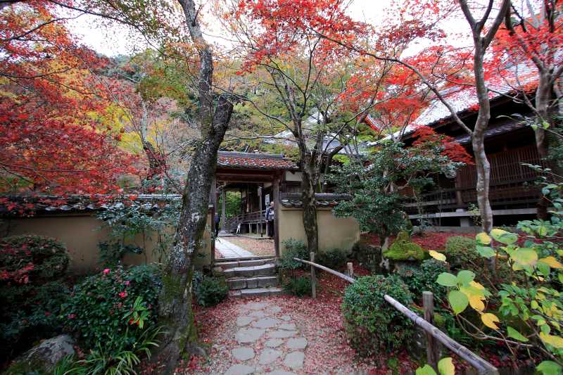 勝持寺_002.jpg