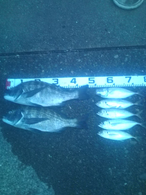 20120818184057.jpg