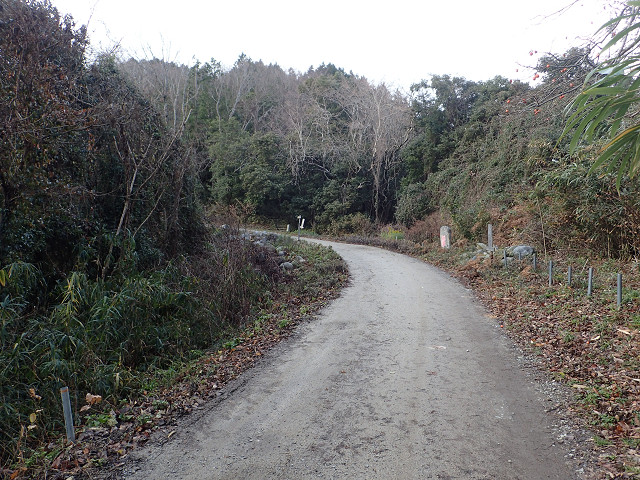 resize0037.jpg