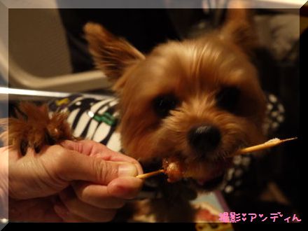 アンディ1.jpg