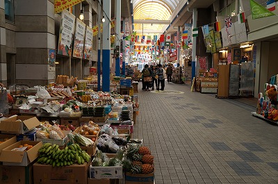 DSC03221.jpg