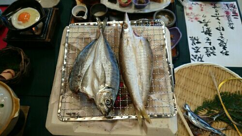 rblog-20170107190557-02.jpg
