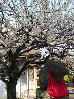 2014-03-11 15.06.09ss.jpg