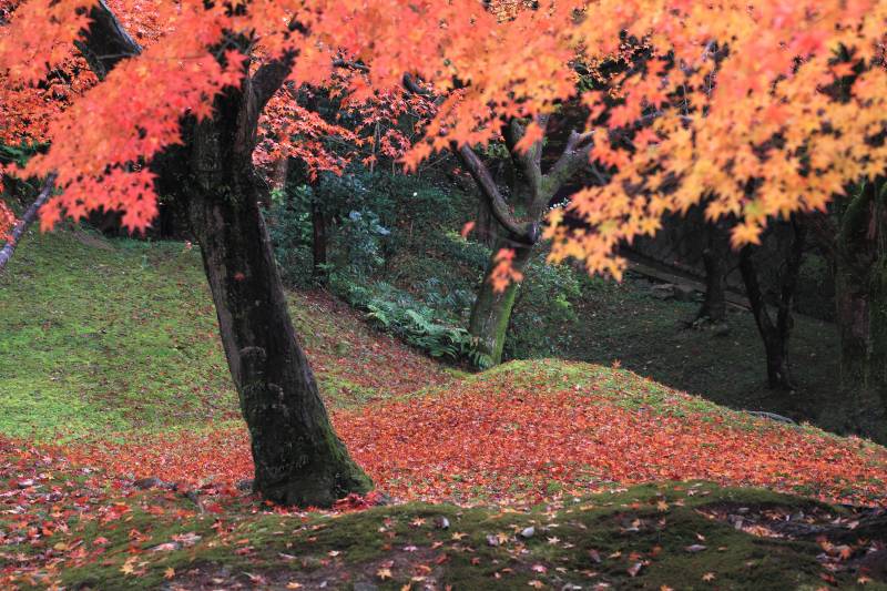 通天橋庭園_005.jpg