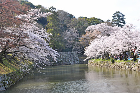 城4