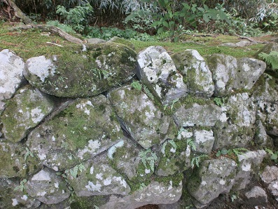 駒ヶ根　光前寺