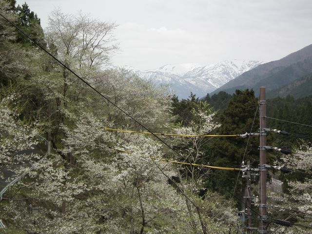 DSCF3749.JPG