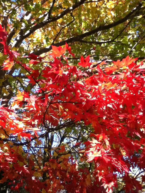 rblog-20141019181530-02.jpg