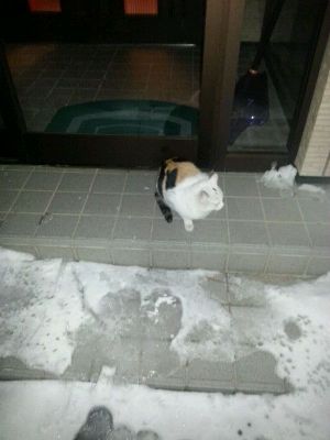 20130225_224432.jpg