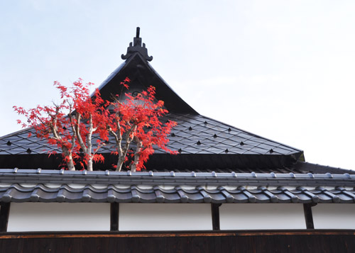 紅葉４