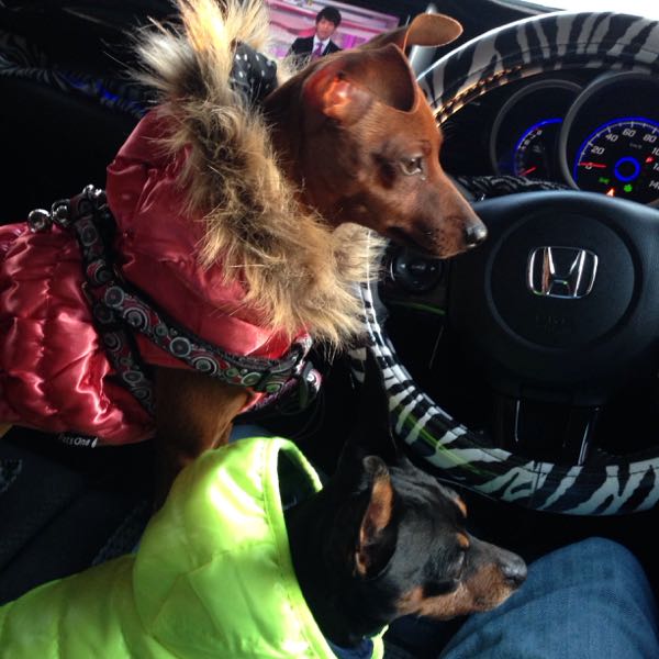 rblog-20141129174811-00.jpg