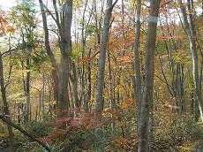 DSCN7916.jpg