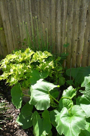 yard work07.jpg