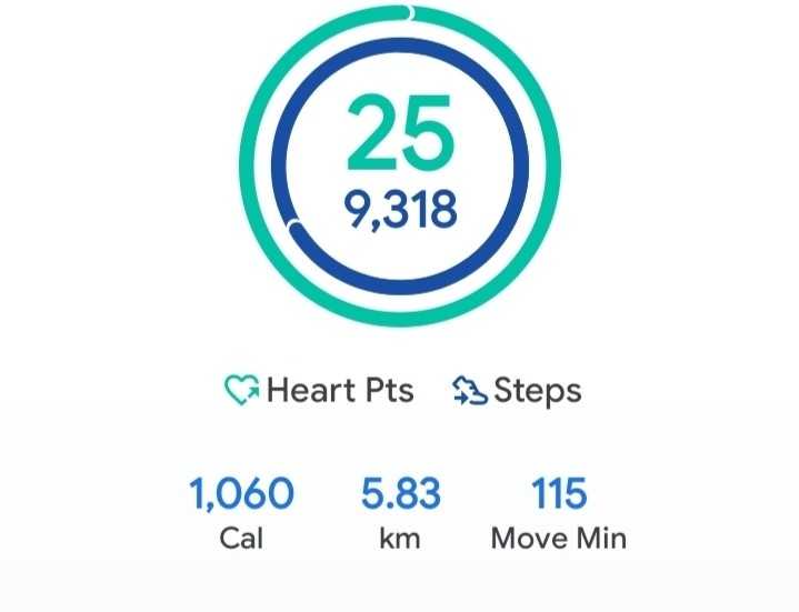 新着記事一覧 だいふくハーフベイビー妊娠日記 楽天ブログ