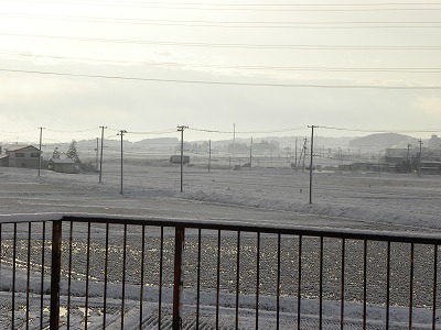 DSCN7558.jpg