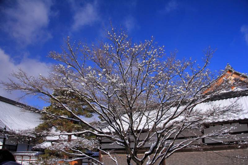 金閣寺_004.jpg