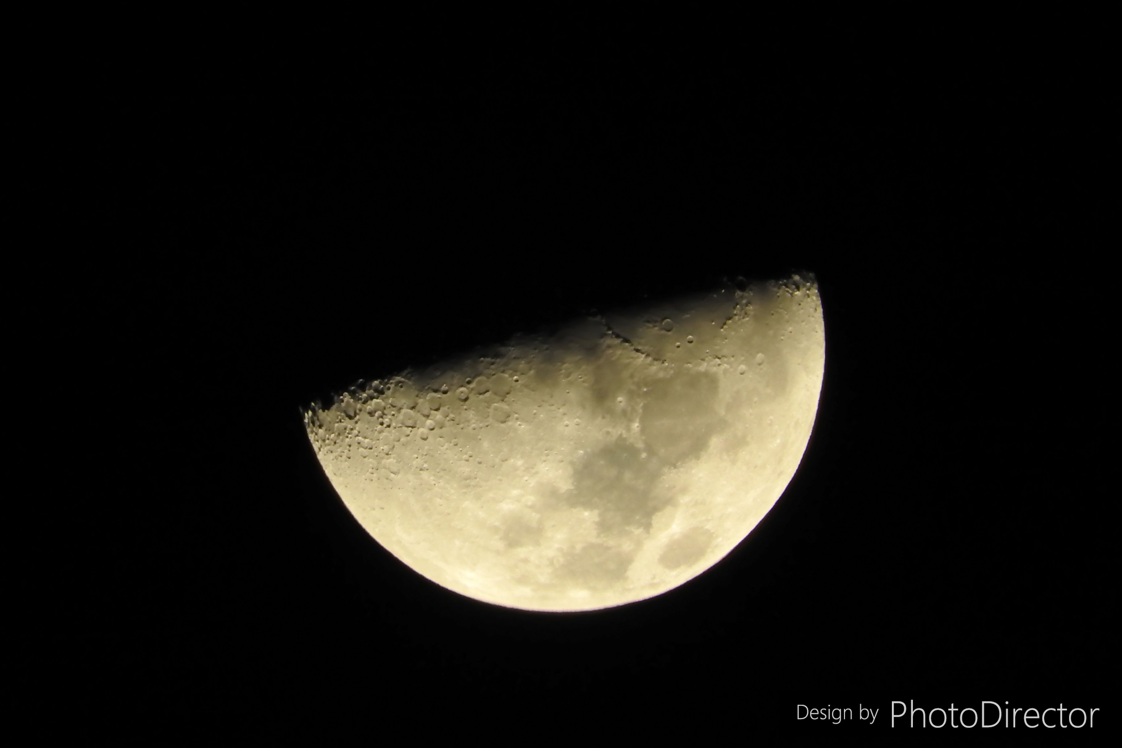 4ページ目の記事一覧 ねこログ 楽天ブログ