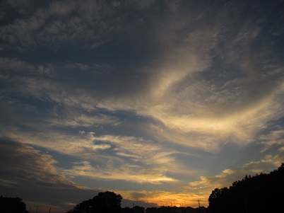 IMG_2163.JPG