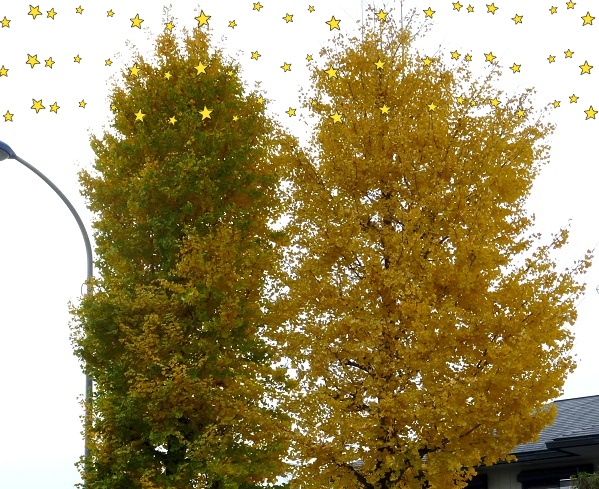 P1030120-001.JPG