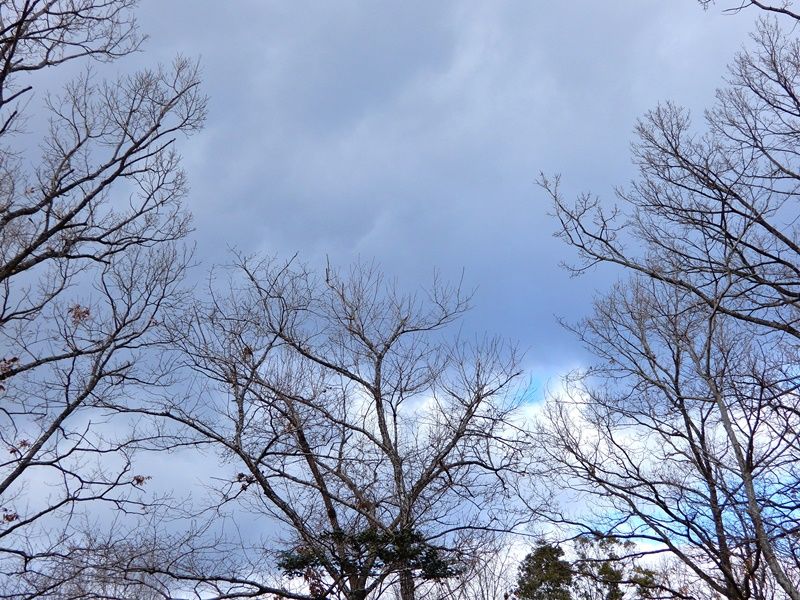 空3