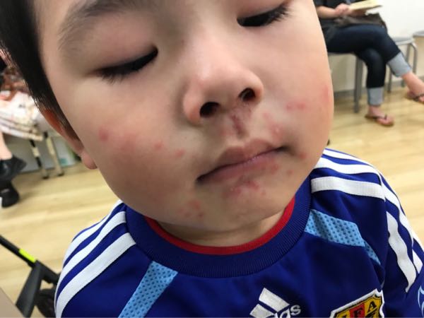 rblog-20180721114236-00.jpg