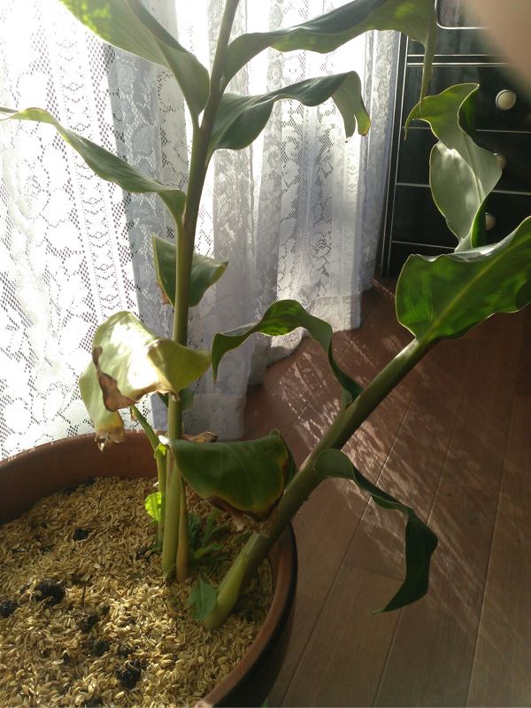 rblog-20190113164501-02.jpg