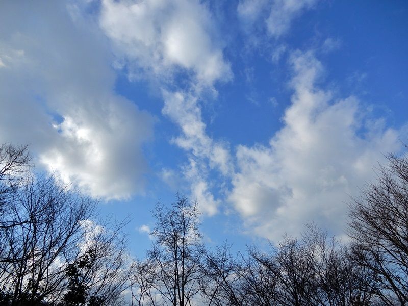 空4
