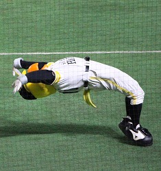 IMG_3425.jpg