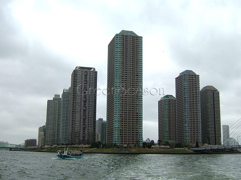 img4cf08064glnrwg.jpg