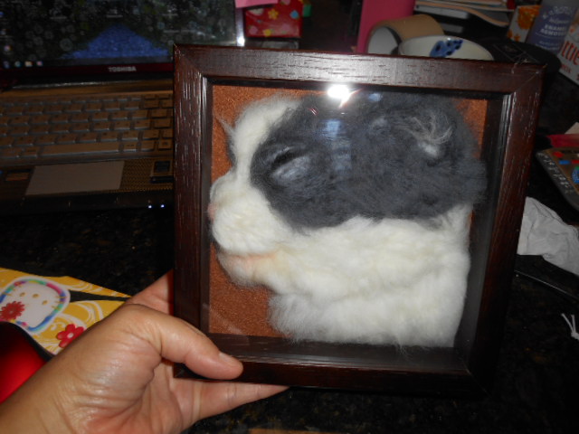 DSCN0460.JPG
