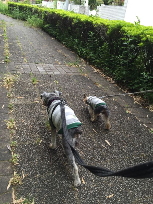 rblog-20160517012148-04.jpg