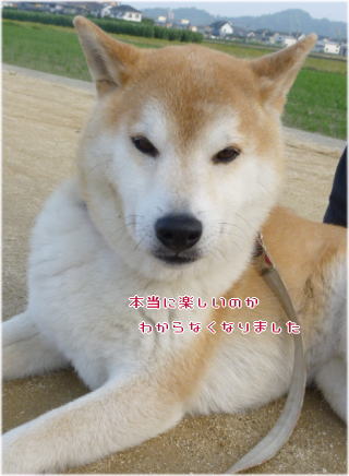 0430朝8.jpg