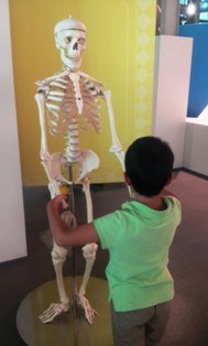20130803_125240.jpg
