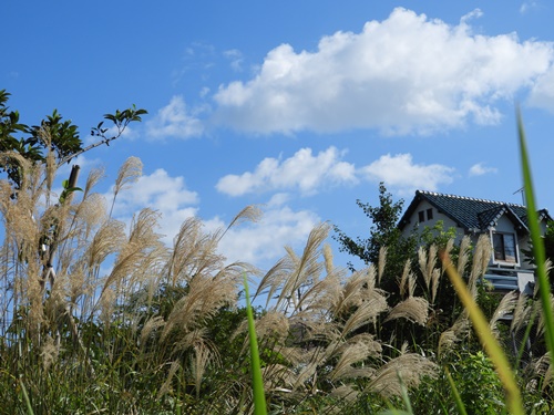 小池公園にて