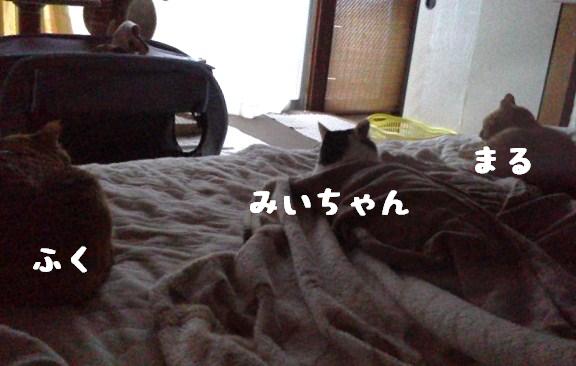 奇跡？