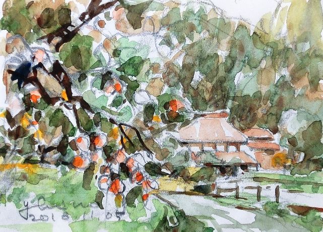 路沿いの柿 | 水彩楽描きノート - 楽天ブログ