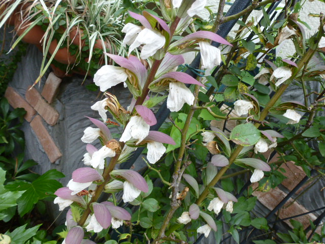 947