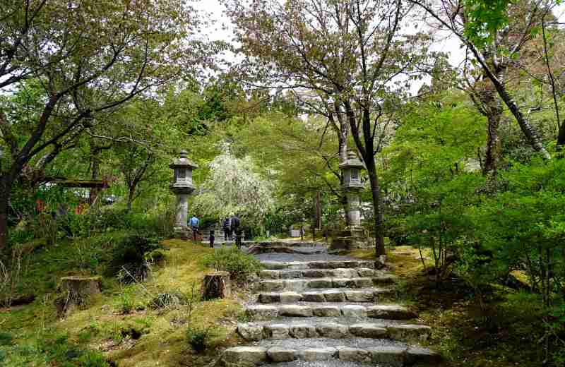 秘仏金色不動明王の御開扉（ごかいひ）三千院 | お散歩うさぎさんのブログ 《京都・いろ色》 - 楽天ブログ