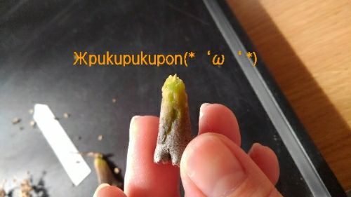 rblog-20171106120229-01.jpg