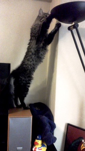 20140929092015.jpg