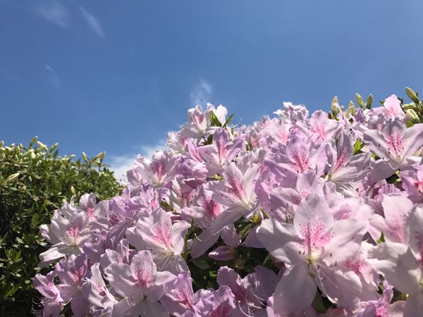 rblog-20170519112607-03.jpg
