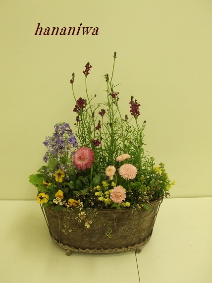 アンティークポットの寄せ植え３.JPG
