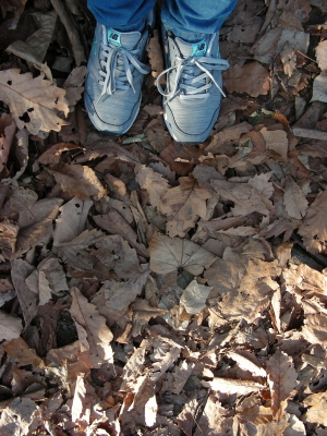 2017-10-27mori1 (1).JPG