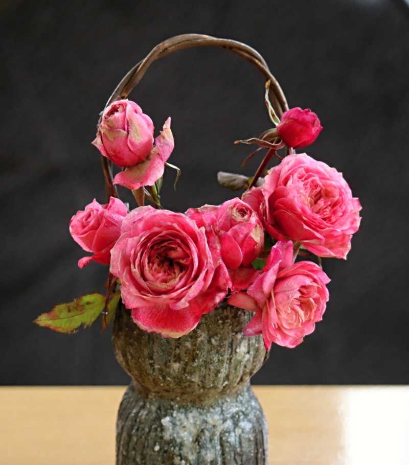 切りバラ バラと可愛い花たち 楽天ブログ
