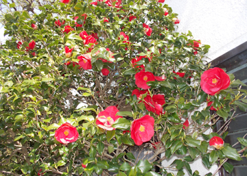 DSCN5638.jpg