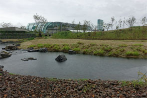 小名浜55.jpg