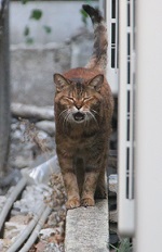 IMG_7428-29.jpg