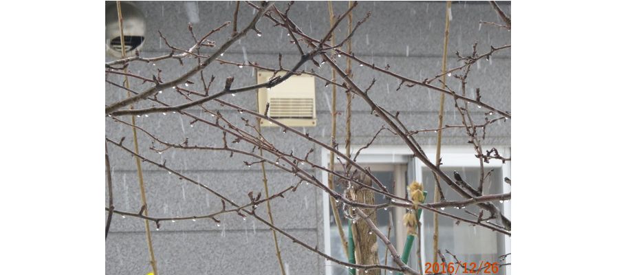 １２／２６雨が降り出した.jpg