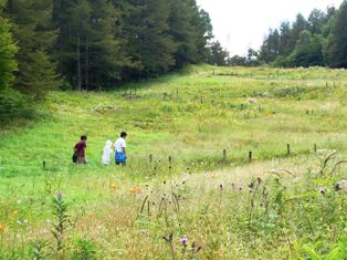 tateshina1.JPG