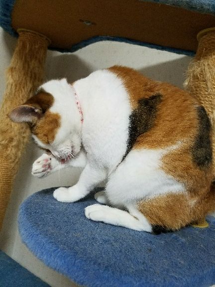 rblog-20180723010720-02.jpg